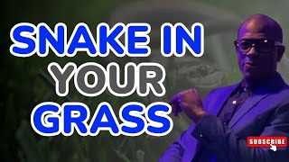 There’s a Snake in your Grass l Navigating Life's Challenges with Confidence