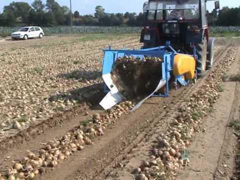 KRUKOWIAK egyszalagos hagymakiszedő 1,2 – 2,05 m