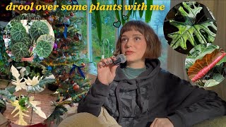 i have no business having a wishlist this long 🪴 (plants i LOVE but don't own!)