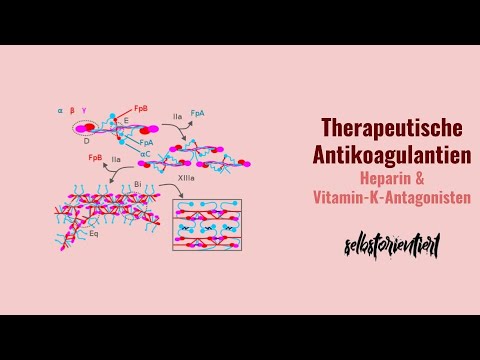 Physiologische Antikoagulantien - Antithrombin III | Protein C und Cofaktor S System | Definition