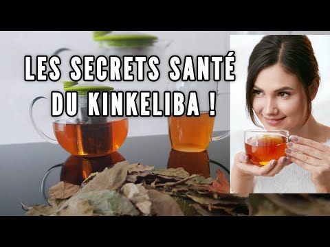 Kinkeliba: 7 Health Benefits and Tips for Using It Properly Every Day!