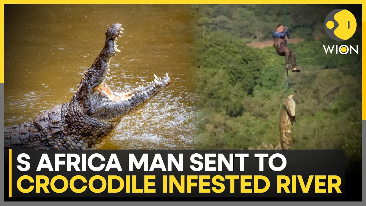 Crocodile Suspected of Killing Man Found in South Africa: | Human Remains Recovered | WION