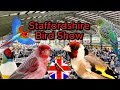 Staffordshire Bird Show 2023 ┃ BCCC