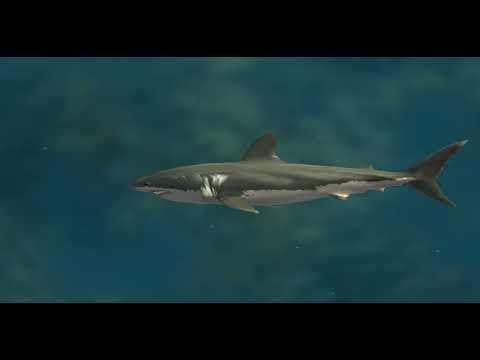 Great shark white vs Giant squid - Jaws Unleashed