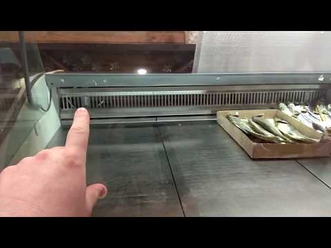 Что делать если намерзает лед на испарителе в холодильной витрине