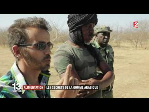 La gomme arabique, avril 2017