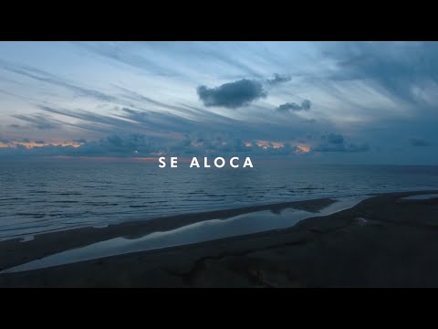 Se Aloca - Dj Dever x Dj Tra