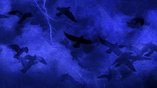 Lovele$$ - Chirp (Official Audio)