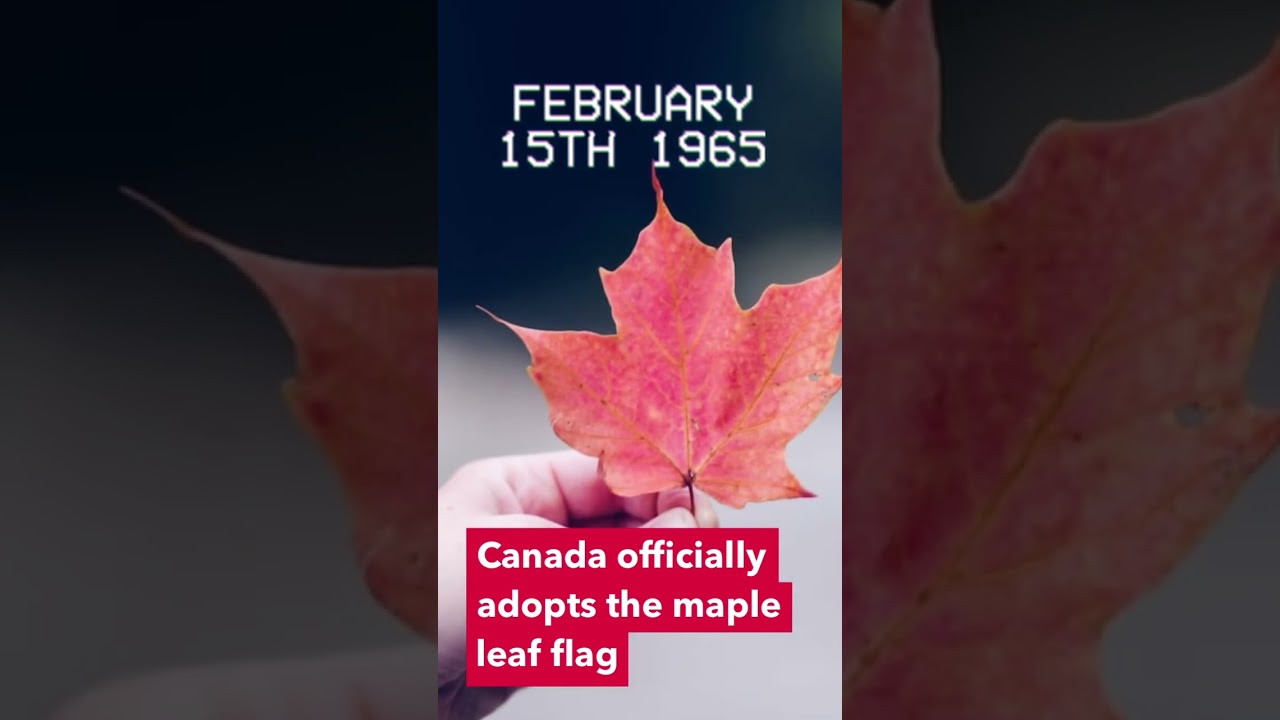 Canadian Flag #shorts #canada #flag