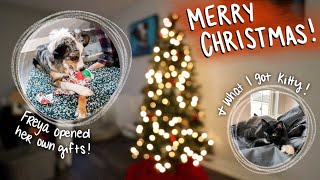 Freya Opened Her Own Gifts!!! + What I Got Kitty For Christmas! | vlogmas day 25