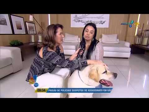 Se Liga Brasil: Animais também sofrem com excesso de peso