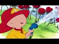 Bombeiro Caillou Caillou Em Português WildBrain