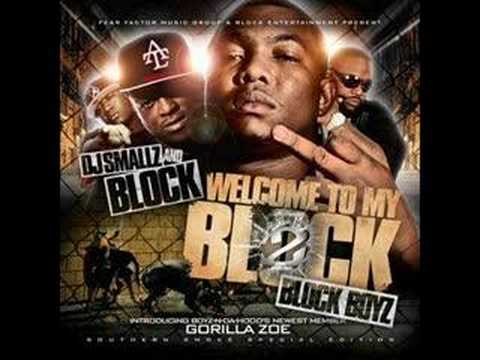 GORILLA ZOE- HOOD NIGGA