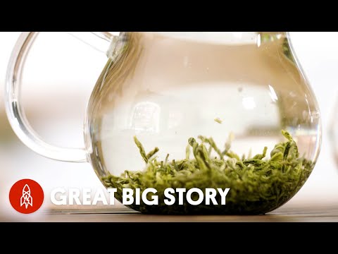 Searching for China’s Ancient Tea Leaves