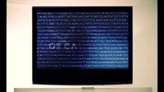 Чудеса творения - Языка ДНК