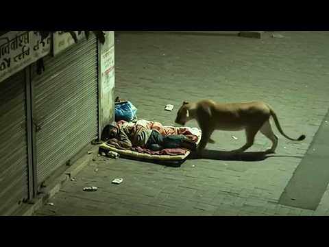 Blasting through jump sections — Off‑Road Highlights (ECHwYxvW81w) thumbnail