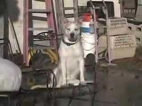 One Minute of Frankie