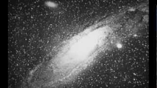 Mos Def & Shlohmo - Anything But Beef