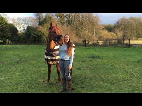 Becks Smallman Blue Chip All Stars  Academy audition