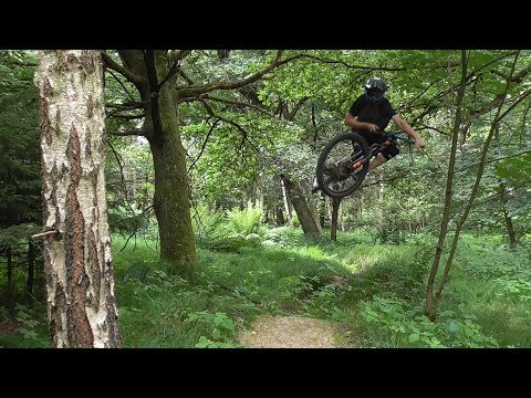 Shredding down overgrown Dreamline