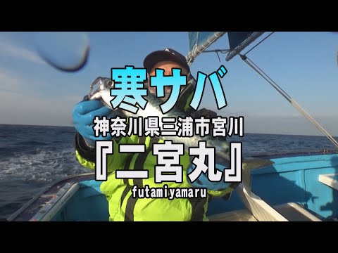 神奈川・宮川沖、食味最高！フラッシャーで狙う大型“寒サバ”！ | 釣りビジョン マガジン | 釣りビジョン