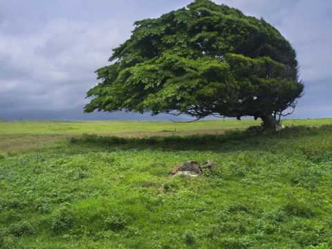 Chitapan - Juegas Con Aire