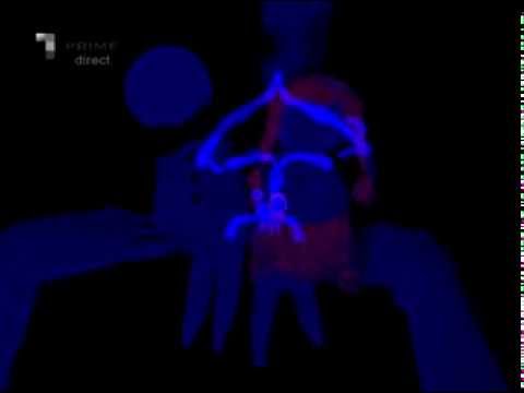 Moldova Are Talent Finala - Vocea Tăcerii 27.12.13