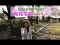 自由学園 明日館 桜見学会レポート