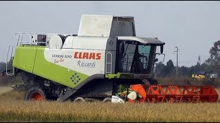 preview picture of video 'Claas Lexion 570 TerraTrac mietitura riso / rice harvest 06/10/2012'