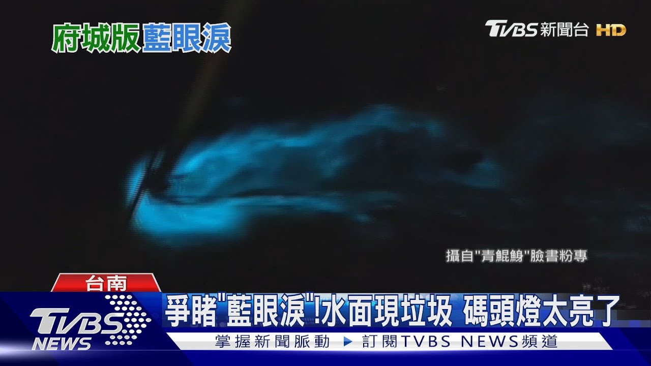 美!台南「藍眼淚」曝光百人擠爆碼頭 阿里山「福森號」試車搶拍