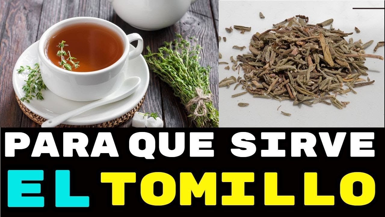 🌿 Propiedades y Beneficios Del TOMILLO Una Planta Medicinal increíble.