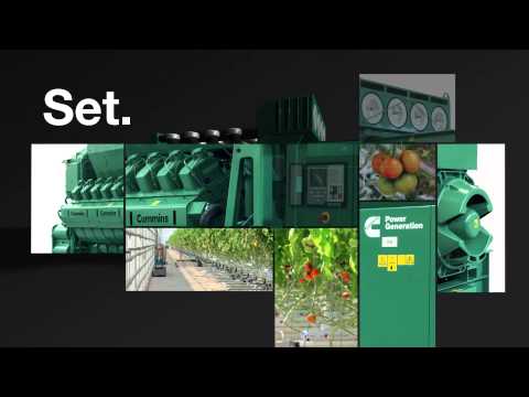 Ready, Set, Grow: Create an environment where everything thrives.