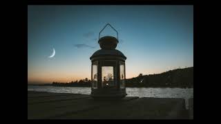 HD Sleep Sounds Lake Gentle Waves & Night Insects - Peaceful Sleep Track for Dreaming 8 hours (hrs)