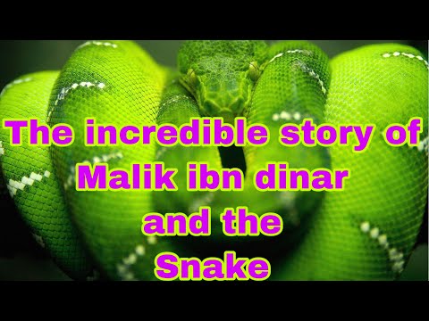 The story of Malik ibn dinar and the snake