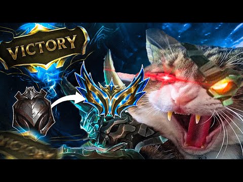 BAŞARILI BİR RENGAR OYUNU