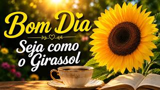 Seja Como um Girassol | Mensagem de Bom Dia