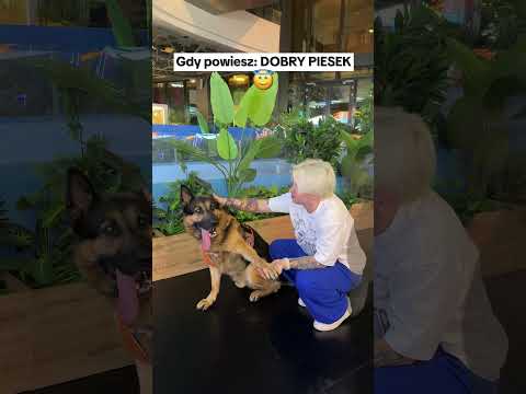 3 Różnice: PIES vs POLICJANT