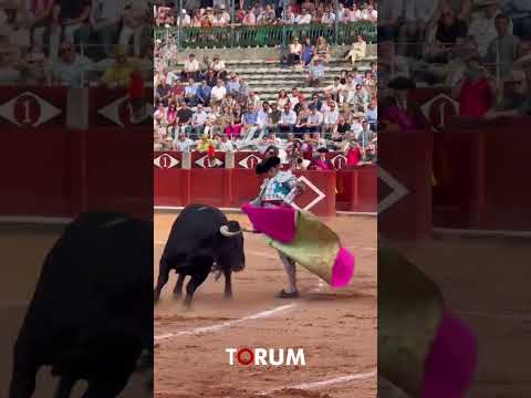 Morante de l Puebla con el que cortó orejas y rabo en Salamanca #toros #short #shorts #viral #torero