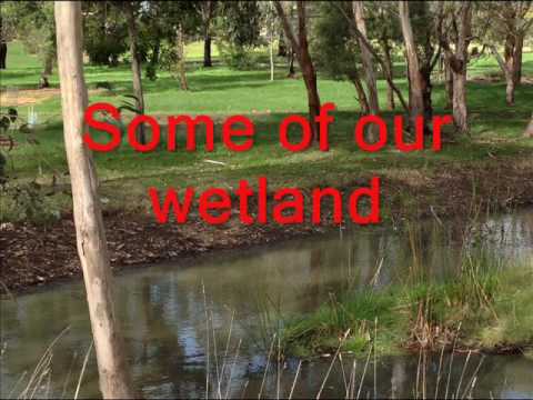 Hamilton Institute of Rural Learning