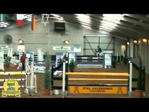 **SOLD** Hemmelhorst Centrino, Born: 2005, C-Trenton Z x Grannus, Sporthorse Showjumper