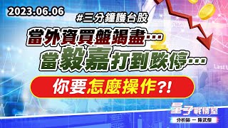 【量子戰情室】#陳武傑 0606 #三分鐘護台股 當外資買盤竭盡…當毅嘉打到跌停…你要怎麼操作?! (圖)