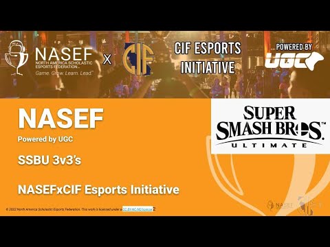 NASEFxCIF SSBU 3v3’s Format Overview