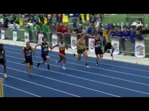 Rabbit Relive (02.26.2019)