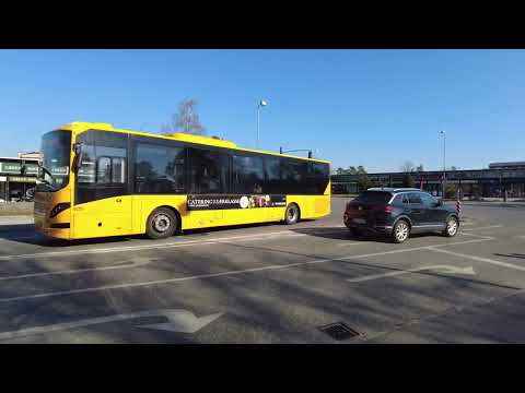 MongoTV_8522 - DEL 1 - CYKLER TIL LIDL OG KØBER EN PAKKE FERSK FRIKADELLER OG GÅR EN TUR