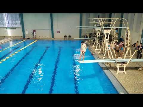 2017 UNCW Men's 1m - Dive 10 403C