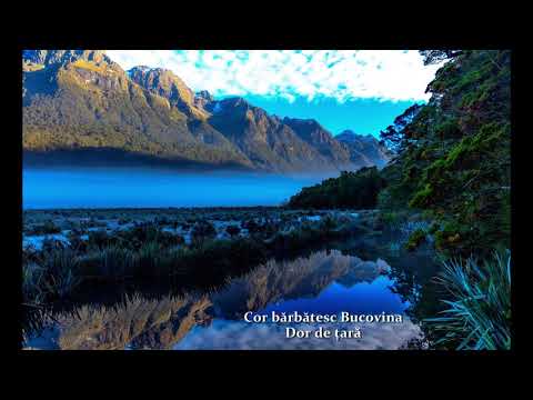 Cor bărbătesc Bucovina - Dor de țară