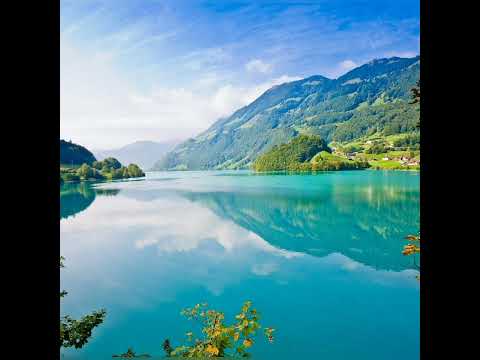 Sərxan Şikaroğlu Gəl Mənim Qara Talehim