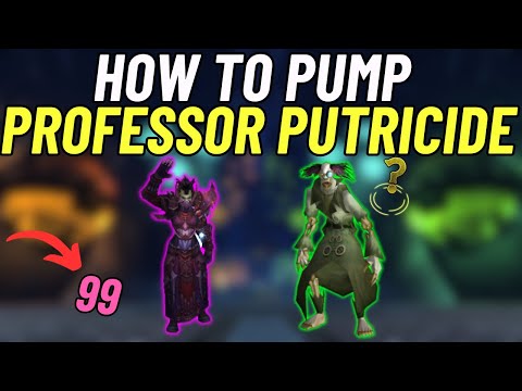 How to Pump Professor Putricide | Demo Warlock | Wotlk Classic - ICC