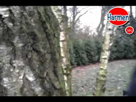 Lange Frans - Zing voor me met Thé Lau [Official EditionVideo]