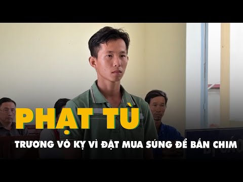 Young man Truong Vo Ky was sentenced to prison for ordering an air gun online to shoot birds.